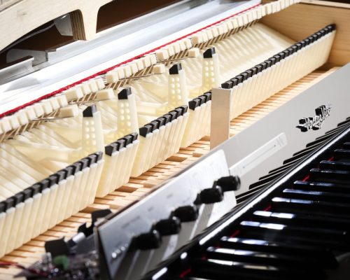 Vintage Vibe 64 Classic Hammers 2